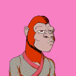 Kong #6466