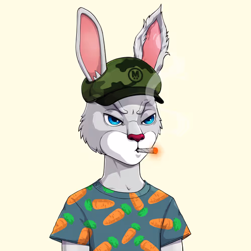 MegaRabbit #2035