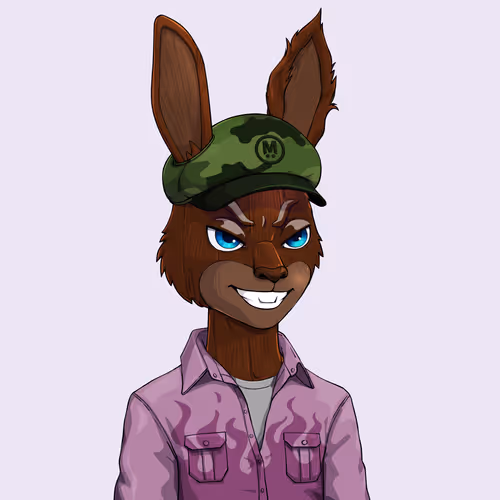 MegaRabbit #4354