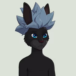 MegaRabbit #2506