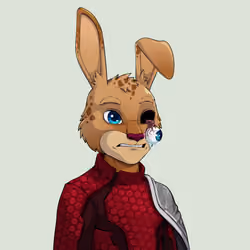 MegaRabbit #2613