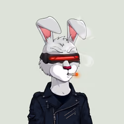 MegaRabbit #1342