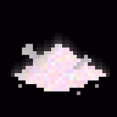Item #6600 Media
