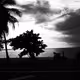 Noir America