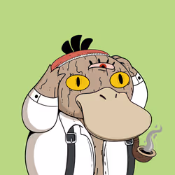 5729