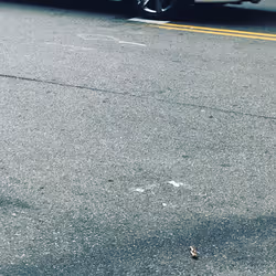 84