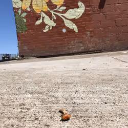 205