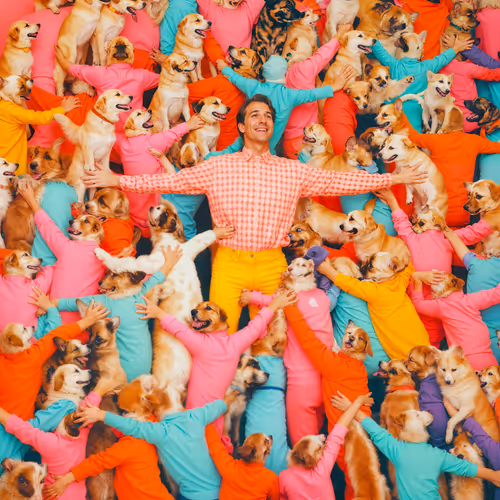 Item #3110946730 Media