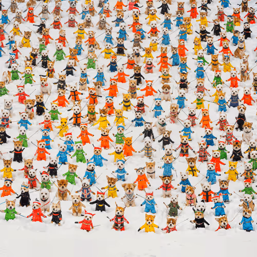 Item #273775959 Media