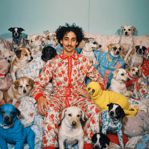 Item #2288421895 Media