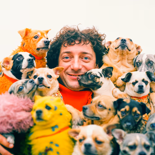 Item #849581585 Media