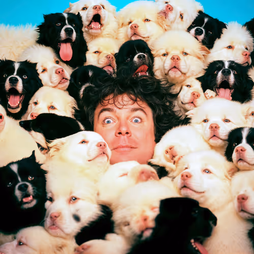 Puppies 28