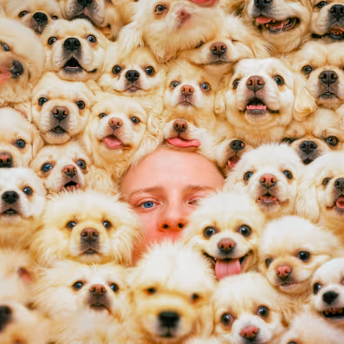 Item #3905276311 Media