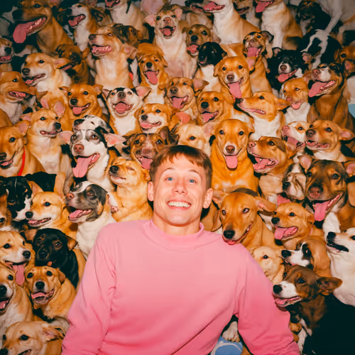 Item #2334185188 Media