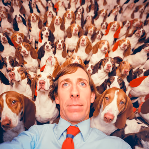 Item #296992076 Media