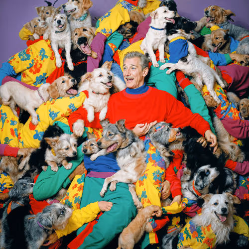 Puppies 28