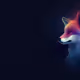 FOXY
