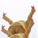 Teletubbies V3