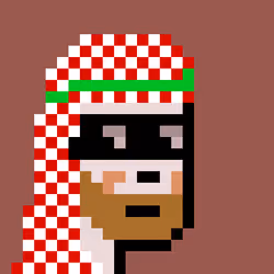 Sheikh Punks #227