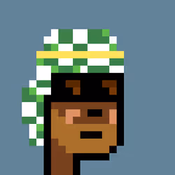 Sheikh Punks #71