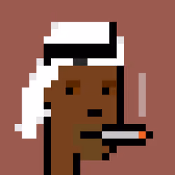 Sheikh Punks #228