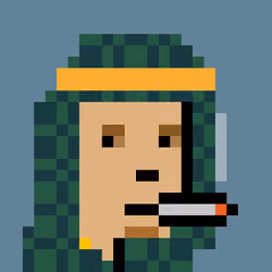 Sheikh Punks #147
