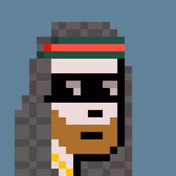Sheikh Punks #248