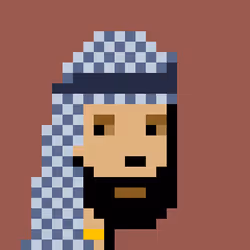 Sheikh Punks #143