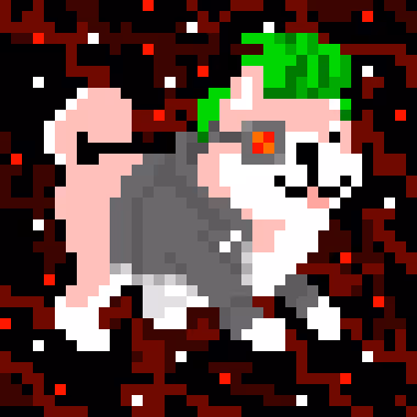 Spaceshibas