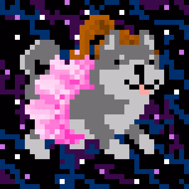 Spaceshibas