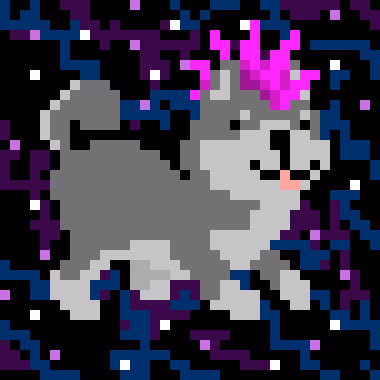 Spaceshibas