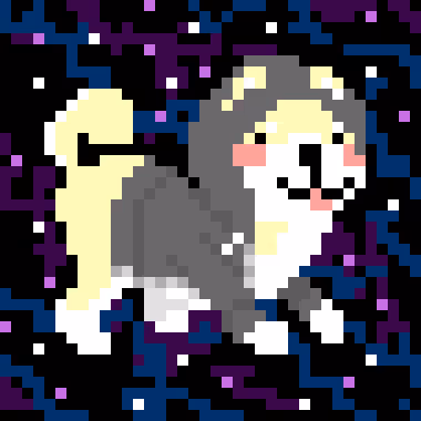 Spaceshibas