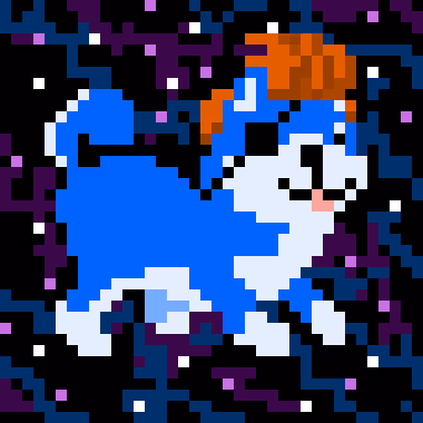 Spaceshibas