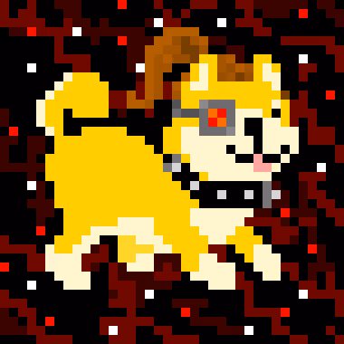 Spaceshibas