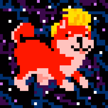 Spaceshibas