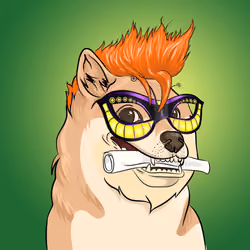 THE BILLIONAIRE DOGE CLUB #2552