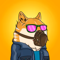 THE BILLIONAIRE DOGE CLUB #1432