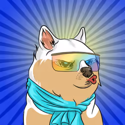 THE BILLIONAIRE DOGE CLUB #133
