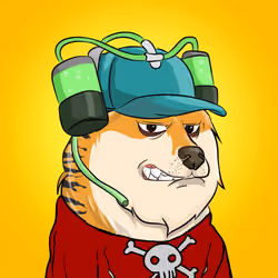 THE BILLIONAIRE DOGE CLUB #2336