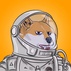 THE BILLIONAIRE DOGE CLUB #1764