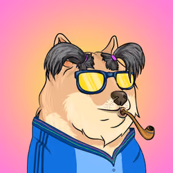 THE BILLIONAIRE DOGE CLUB #2471