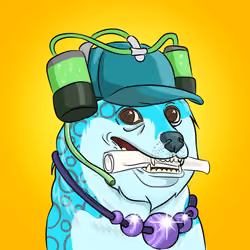 THE BILLIONAIRE DOGE CLUB #2115