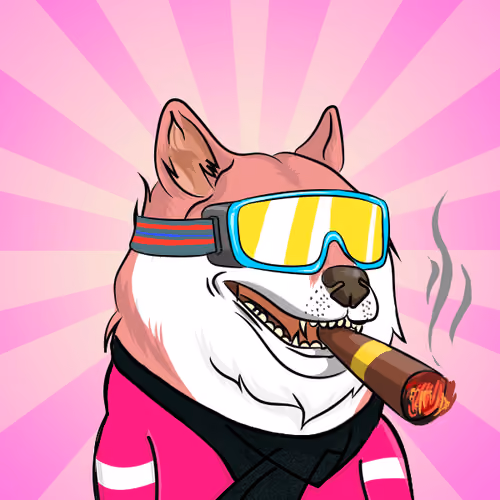 THE BILLIONAIRE DOGE CLUB #453