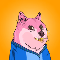 THE BILLIONAIRE DOGE CLUB #2497