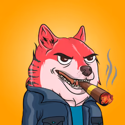 THE BILLIONAIRE DOGE CLUB #2068