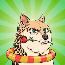 THE BILLIONAIRE DOGE CLUB #440