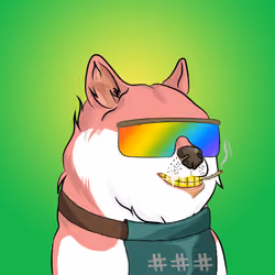 THE BILLIONAIRE DOGE CLUB #555
