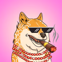 THE BILLIONAIRE DOGE CLUB #74