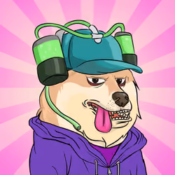 THE BILLIONAIRE DOGE CLUB #2522
