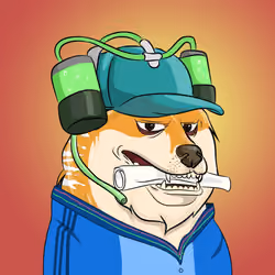 THE BILLIONAIRE DOGE CLUB #2545